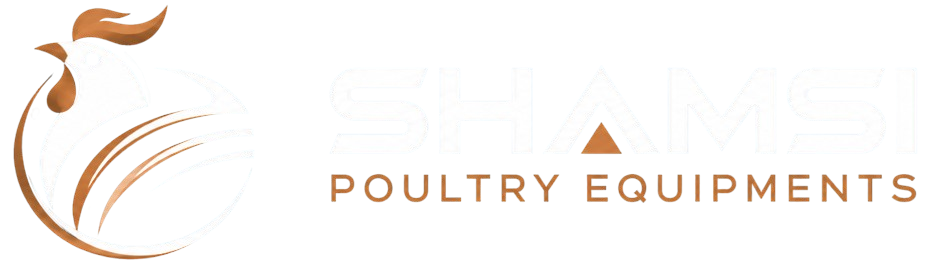 Website Logo
